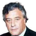 Francisco Fernandes
